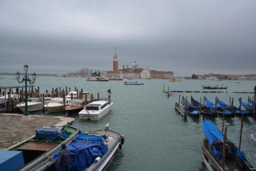 DSC_0248 - Copie